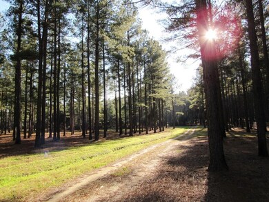 salk ridge (10)