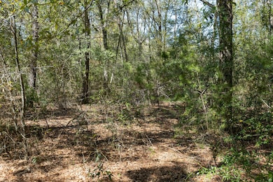 View of wooded lot