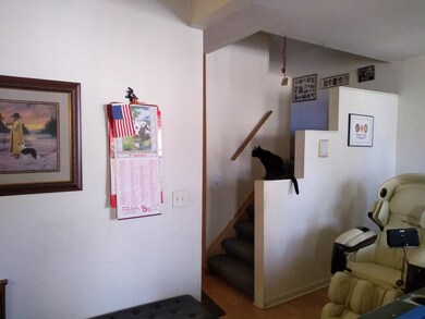 725 W 48th Place, Chicago, IL 60609 - photo 3