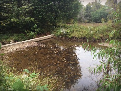 Creek2
