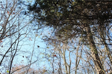 001-04740-000 Marion County 5045, Yellville, AR 72687 - photo 3