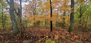 20201026_005454