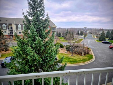 Bards Crossing unit 304, Rosemount, MN 55068 - photo 6