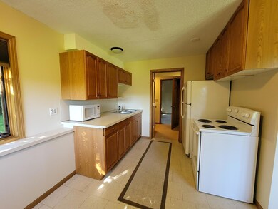 5023 Vine Hill Rd, Excelsior, MN 55331 - photo 7