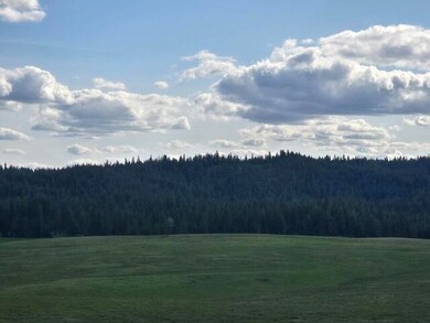 5266 Wagner Rd, Springdale, WA 99173 - photo 5