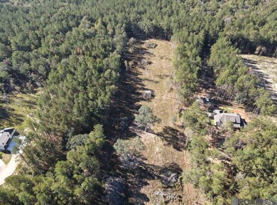 3315 Nesom Rd, Denham Springs, LA 70706 - photo 4