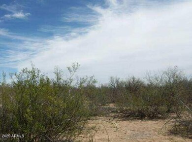 17515 W Western Star Trail, Three Points, AZ 85735 - photo 7