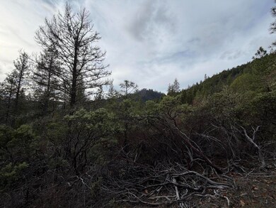 0 E Evans Creek Rd unit 10149540, White City, OR 97503 - photo 5