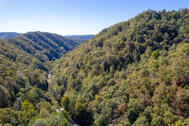 0 Jimmie Creek Rd, Regina, KY 41559 - photo 4