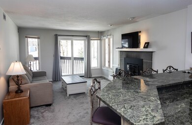 109 Okemo Ridge Rd unit C206, Ludlow, VT 05149 - photo 5