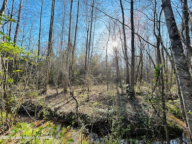 2.64+/- Acres Hwy 280, Sylacauga, AL 35150 - photo 5