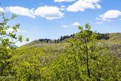 4914 N Hidden Way, Midway, UT 84049 - photo 4