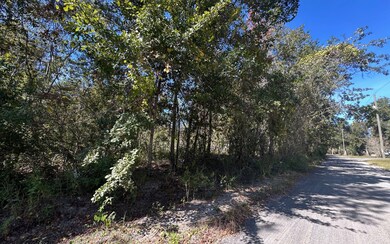 0 SW Bozeman Ct unit 129011, Lake City, FL 32024 - photo 2