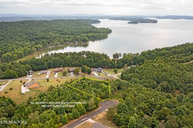 DJI_0780A