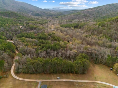 Lot 12 County Road 219, Piedmont, AL 36272 - photo 6