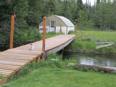 Watch the Salmon swim under the bridge