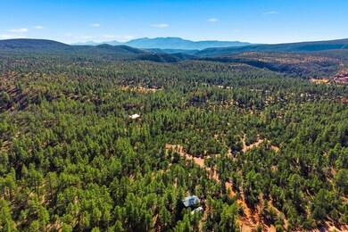 0 Fawn Dr unit 93199, Pine, AZ 85544 - photo 3