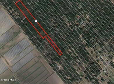 aerial 1