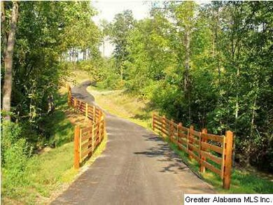 Walking trails-Walk to schools!