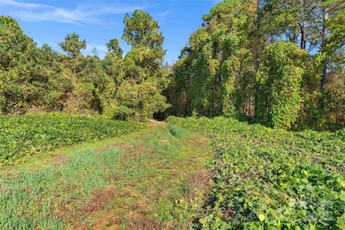 0000 Bud Davis Rd unit 6, Vale, NC 28168 - photo 4