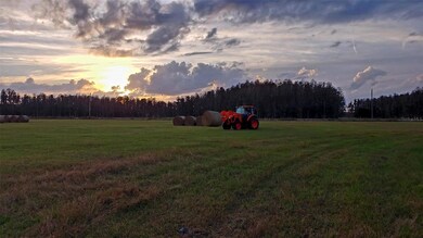 0 Moore Rd unit MFRO6280819, Lakeland, FL 33809 - photo 4