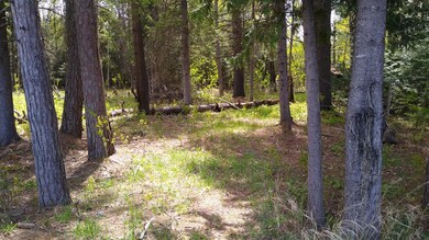 IMG_20220524_133612784