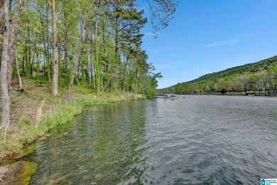 8975 Jade Lake Rd W, Pinson, AL 35126 - photo 4