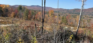 0 High St, Peru, ME 04290 - photo 7