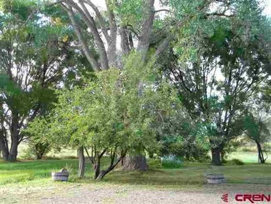 0 Road 22 unit 672886, Dolores, CO 81323 - photo 7