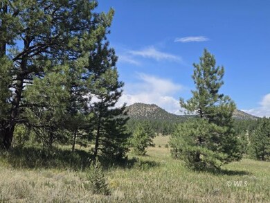 755 Black Fawn Ln, Westcliffe, CO 81252 - photo 2