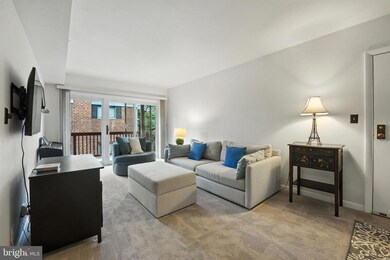 206 Skyhill Rd unit 6, Alexandria, VA 22314 - photo 4