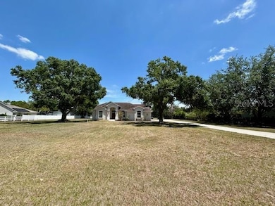 17127 Brown Rd, Odessa, FL 33556 - photo 4