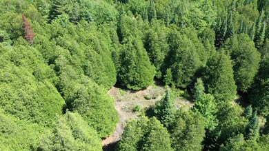 0 King's Hwy unit 201822046, Beaver Island, MI 49782 - photo 3