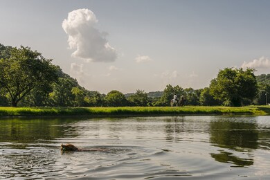 This farm offers the perfect outdoor living lifestyle! 