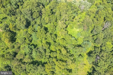 1683 Withers Larue Rd, Berryville, VA 22611 - photo 3