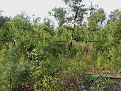 View of tree filled area