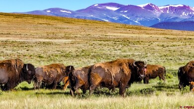 9173 Highway 24 unit The Preserve Ranch, Hartsel, CO 80449 - photo 4