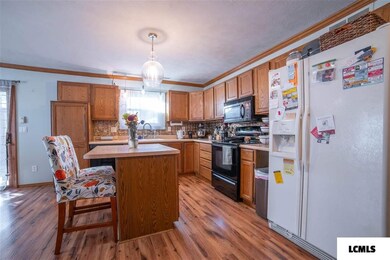 225 Heritage Ave, Lincoln, IL 62656 - photo 6