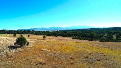 214 Apache Rd San Rafael Valley Rd, Patagonia, AZ 85624 - photo 4