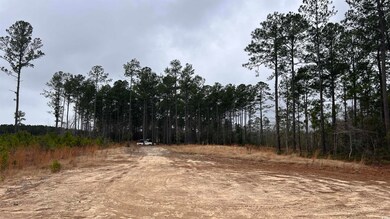1284 Cheyenne Rd unit Lot 1, Conway, SC 29526 - photo 7