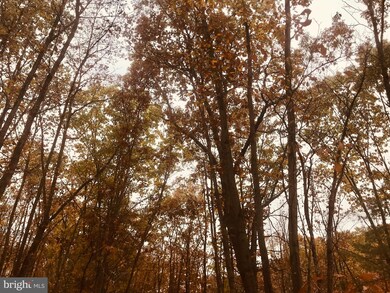 0 Mccubbin Rd unit VAFV160532, Winchester, VA 22603 - photo 5