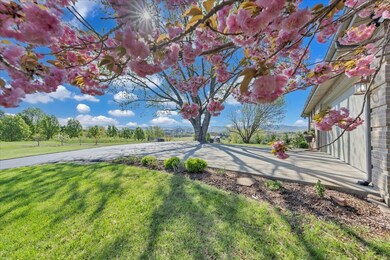 Ornamental & Fruit Trees on Property