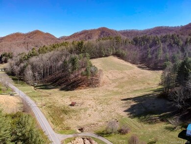 3263 Possum Trot Rd unit 2, Burnsville, NC 28714 - photo 2