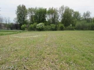 V/L E Hamilton St, New Russia, OH 44074 - photo 7