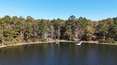 Lot 15 & 16 Hidden Lagoon Estates, Fort Gaines, GA 39851 - photo 3