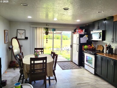 729 NW Evans St, Sheridan, OR 97378 - photo 4