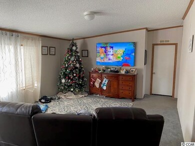 454 Hallie Martin Rd, Conway, SC 29527 - photo 3