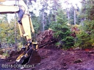 Dozer Clearing in 2011