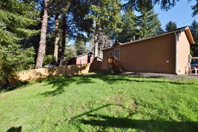 Back yard