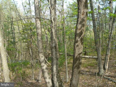 0 Lot # 72 Mallard Dr unit VASH2003080, Basye, VA 22810 - photo 2